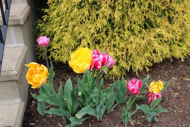 224 N Barnstead Rd, Barnstead, NH 03225 - photo 3