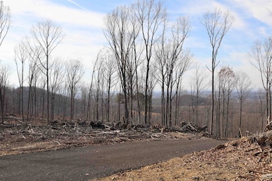 tbd1 Calf Mountain Rd, Waynesboro, VA 22980 - photo 6