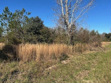 NHN Werner Rd, Picayune, MS 39466 - photo 7