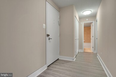Mica Condominiums unit 402, Silver Spring, MD 20910 - photo 4