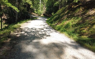 Additional View