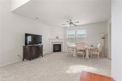 3967 Gardiner Run, Copley, OH 44321 - photo 5