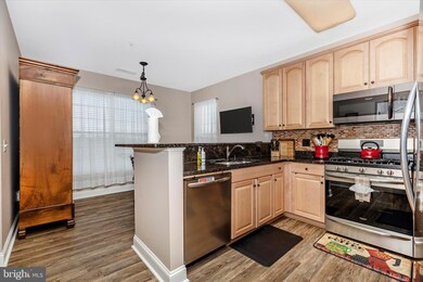 8616 Wintergreen Ct unit 207, Odenton, MD 21113 - photo 3