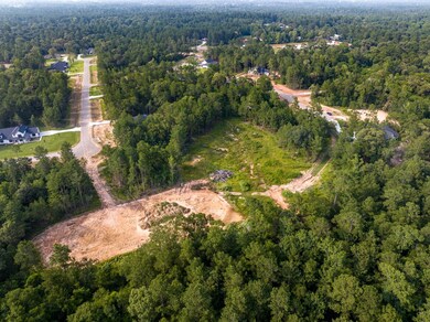 Cleared area shows pond location.