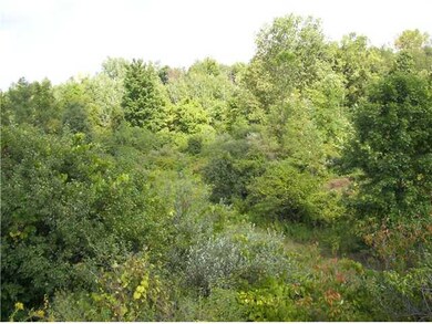 View Mostly wooded for your hunting pleasure