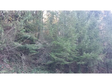 0 W 4th St, Rainier, OR 97048 - photo 6