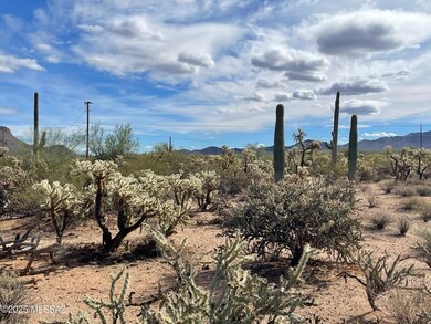 7305 N van Ark Rd unit 2, Tucson, AZ 85743 - photo 2