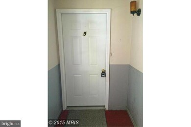 77 Wolf Gap Rd unit 9, Edinburg, VA 22824 - photo 4