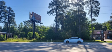 818 Honea Egypt Rd, Magnolia, TX 77354 - photo 2