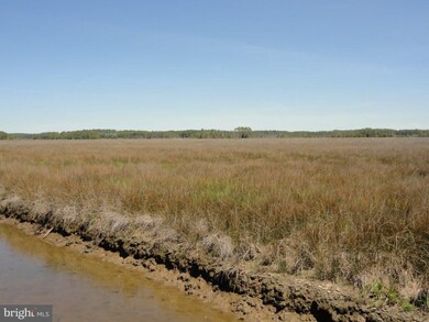 0 Tedious Creek Rd unit 1000100997, Toddville, MD 21672 - photo 4