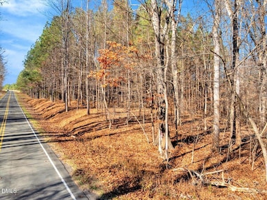 0 Tommie Daniel Rd, Oxford, NC 27565 - photo 5