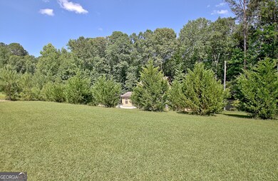 460 Morgan Mill Rd, Brooks, GA 30205 - photo 6
