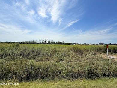 1 Lloyd Corey Rd, Robersonville, NC 27871 - photo 2