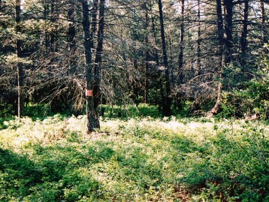 880 Bowdish Rd, Whitefish, MT 59937 - photo 2