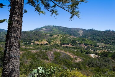 _DSC8353