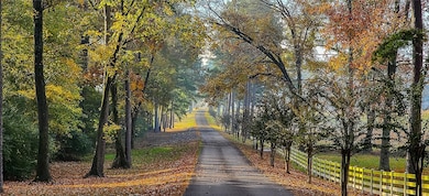 10318 Meers Ln, Dardanelle, AR 72834 - photo 2