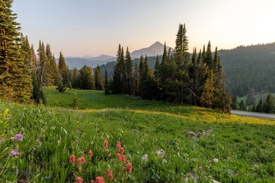 lots of usable acreage and open meadows