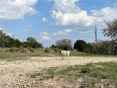 000 River Shoals Dr unit Lot 109, Kempner, TX 76539 - photo 2