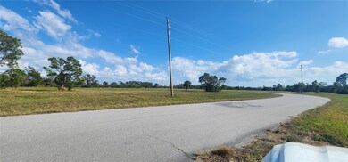 13014 Emerald Rd, Meadows and Villas, FL 33946 - photo 4