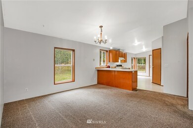 unlisted-address, Graham, WA 98338 - photo 7