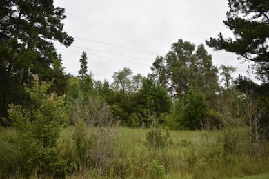 1544 Isabella Rd, Kingstree, SC 29556 - photo 2