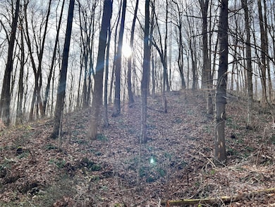 000 Heather Way unit 10, Waynesville, NC 28786 - photo 4