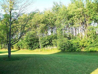 Yard/Garden