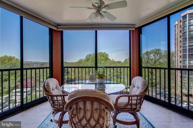 5901 Mount Eagle Dr unit 717, Alexandria, VA 22303 - photo 7