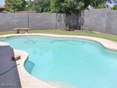 THE POOL