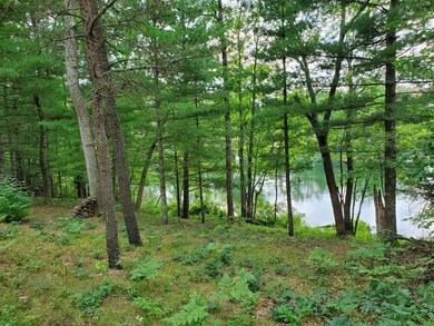 0 68th St unit 23031030, Idlewild, MI 49642 - photo 3