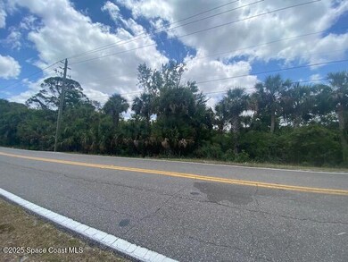 Tbd Canaveral Groves Blvd, Cocoa, FL 32926 - photo 6
