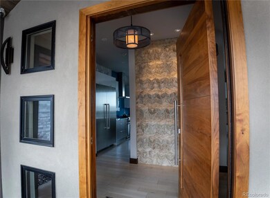 739 Overlook Ridge Point, Colorado Springs, CO 80906 - photo 7