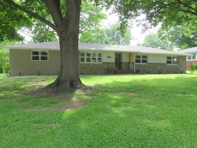 Lovely Shade Trees
