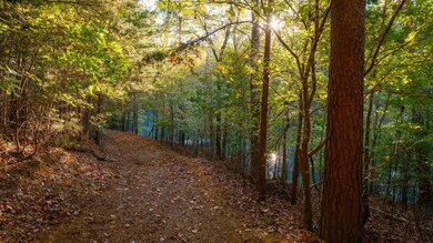 9009 W Cove Rd, Chickamauga, GA 30707 - photo 7