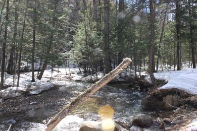 203 Gilman Valley Rd, Tamworth, NH 03886 - photo 6