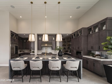 Merion_Grove_Desert_Sage_Kitchen_8777_co