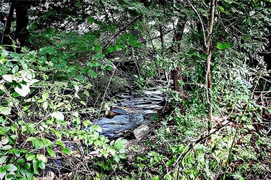 114 Worman Rd, Bath, PA 18014 - photo 3