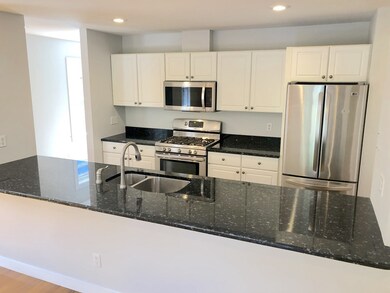 221 Charles St unit 1, Cambridge, MA 02141 - photo 4