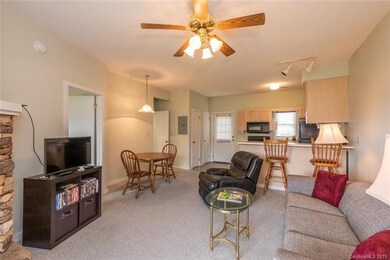 2521 Wolf Laurel Rd unit 106, Mars Hill, NC 28754 - photo 6