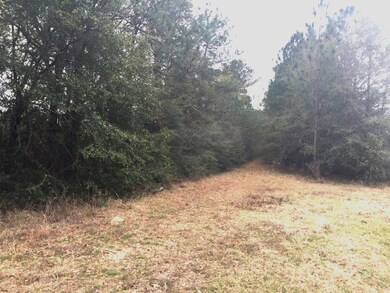 Hwy 85N 03