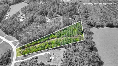 0 Loblolly Ct unit 147244, Newington, GA 30446 - photo 6