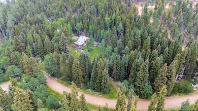 11173 S Barney Gulch Rd, Conifer, CO 80433 - photo 6