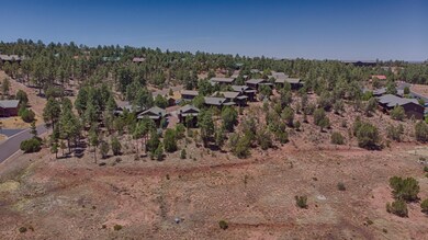 Aerial Neighborhood View