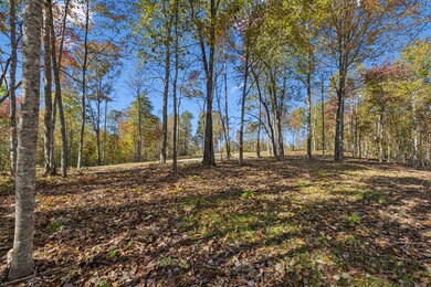 Tract 3 Sheep Ranch Rd, Robbins, TN 37852 - photo 6
