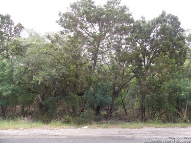 9227 Saddle Trail, Cross Mountain, TX 78255 - photo 3