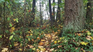 78 SW 44th Ave W, Mukilteo, WA 98275 - photo 6