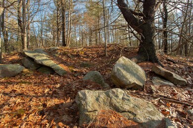 1841 US Route 1, York