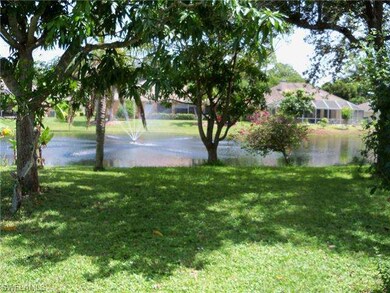 View of the lake and fountain from the lanai.
