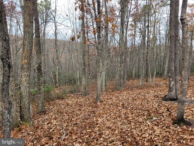 HINKLE MOUNTAIN RD/ Deep Spring Rd, Dorcas, WV 26847 - photo 6