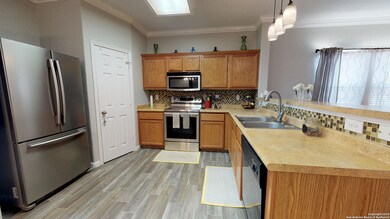 11239 Clusius, Helotes, TX 78023 - photo 4